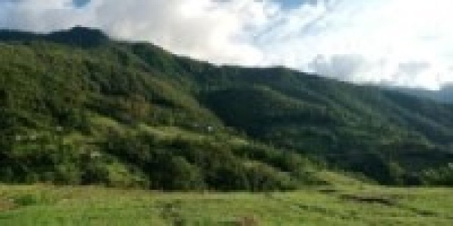 मन्दिरै मन्दिरको गाउँ पिठातोला